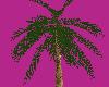 [JD]Btfl Bch Palm Tree
