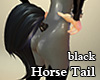 Horse Tail Black