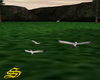 animated seagulls