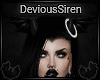 'DS Raven -