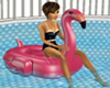 PINK-Flamingo-Floaty-w-p