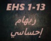 Reham Abdelhakim-EHsasy