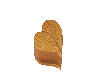 (MSis) Wood Heart 1
