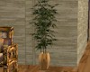 (LCA) Bamboo Plant
