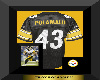 STEELER COLLECTION/TROY