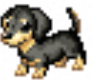 *J* peanut puppy