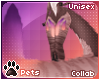 [Pets] Ailva | tail v3