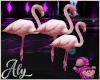 Alice Flamingo