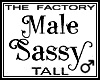 TF Male Sassy Avi Tall