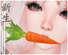 ☽ Carrot Easter Bunny