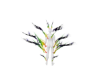 Pride Body Smoke