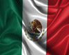 MM MEXICO HODDY 4