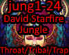 David Starfire - Jungle