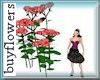 *F* red garden flowers
