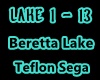 Teflon Sega-Beretta Lake