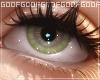 Motcha Eyes