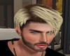 Z Weston Ombre