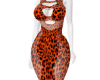 Orange Cheetah