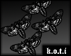 [Koti]Moths.