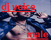 dj voice male