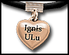 Ignis & ULu : For Ulu