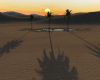 Desert Oasis Sunset