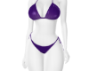 Bikini 3/1 L/M purple