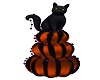 *Ney* Hallomew'25 Cat