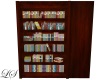 V Library Bookshelf V1