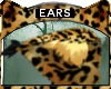 Bengal * Ears V3