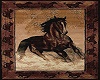 horse rug 3