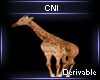 Derivable Giraffe