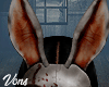 Huntress Mask F