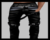 SV Leather Pants.