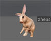 !Zheus Rabbit 2 Furni