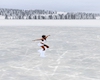 {K} Solo Ice Skate