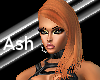 [ash]-manequin design