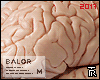 ░ Human Brain.