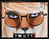 T; Foxie Glasses v2