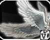 V: Fantasy Angel Wings