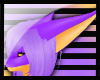 N: Spyro Ears 1