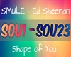 SMULE - Shape of You