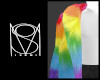 D | Rainbow Coat
