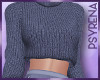 Winter Sweater + skrt B