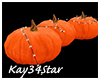 Halloween Pumpkin Patch