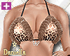 D| Kitten Set V1