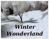 DDA's Winter Wonderland