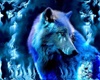 Wolf Water Wall