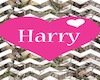 Harry name Poster