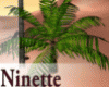 N:CIELO Palm Tree